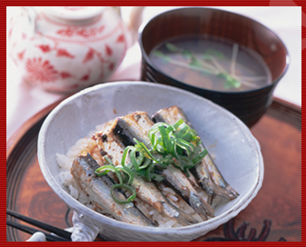 缶ごとぶっかけサーディン丼&ほたて汁