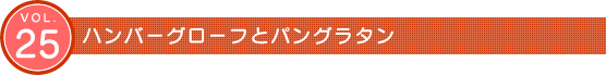 Vol.25　ハンバーグローフとパングラタン