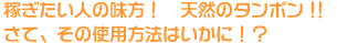 稼ぎたい人の味方!　天然のタンポン!！　さてその使用方法はいかに!？