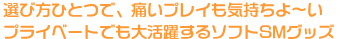 選び方ひとつで、痛いプレイも気持ちよ～いプライベートでも大活躍するソフトSMグッズ